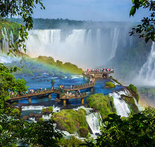 Die Vielfalt Brasiliens