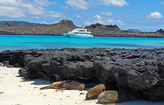 Ecuador und Galápagos-Kreuzfahrt ─ ein Land voller Wunder