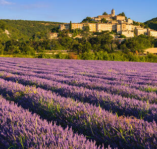 Provence - zwischen Tradition und Moderne