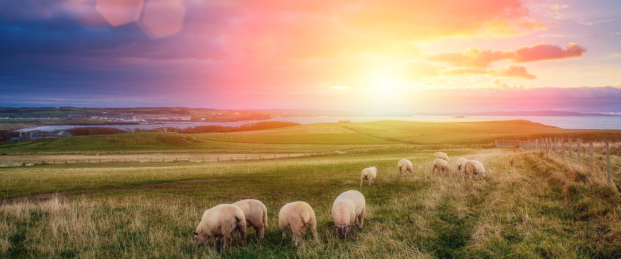 Irlands Norden entdecken Irlands Norden entdecken