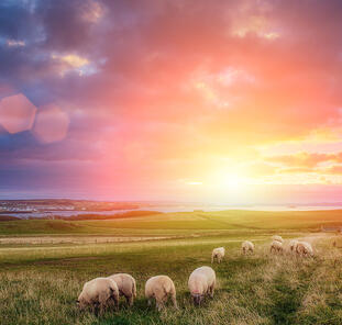 Irlands Norden entdecken Irlands Norden entdecken