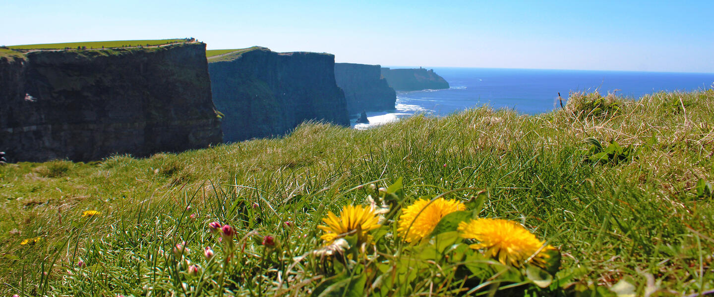 Irland - die ausführliche Reise auf der grünen Insel