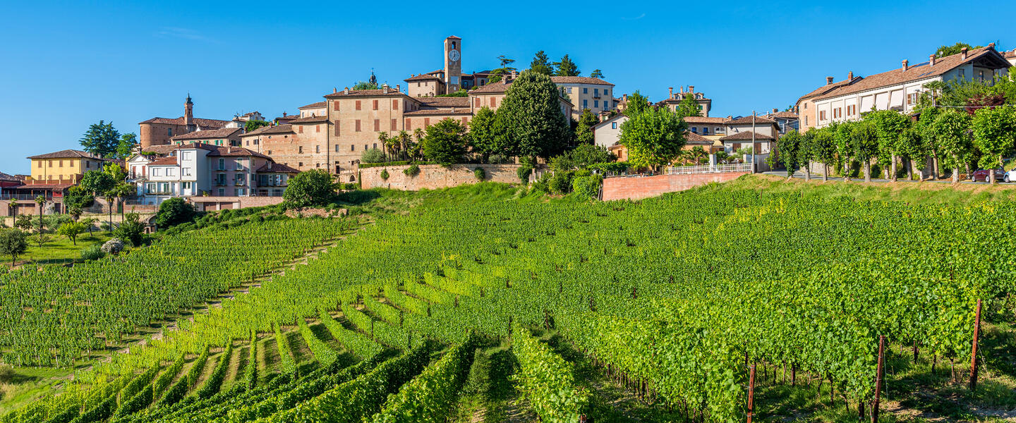 Piemont - ein genussvolles Erlebnis Piemont - ein genussvolles Erlebnis