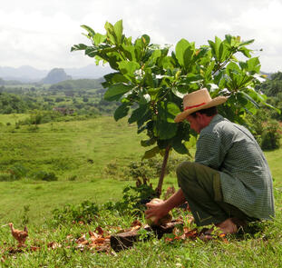 Kuba ─ Kultur und Karibikstrand Kuba ─ Kultur und Karibikstrand