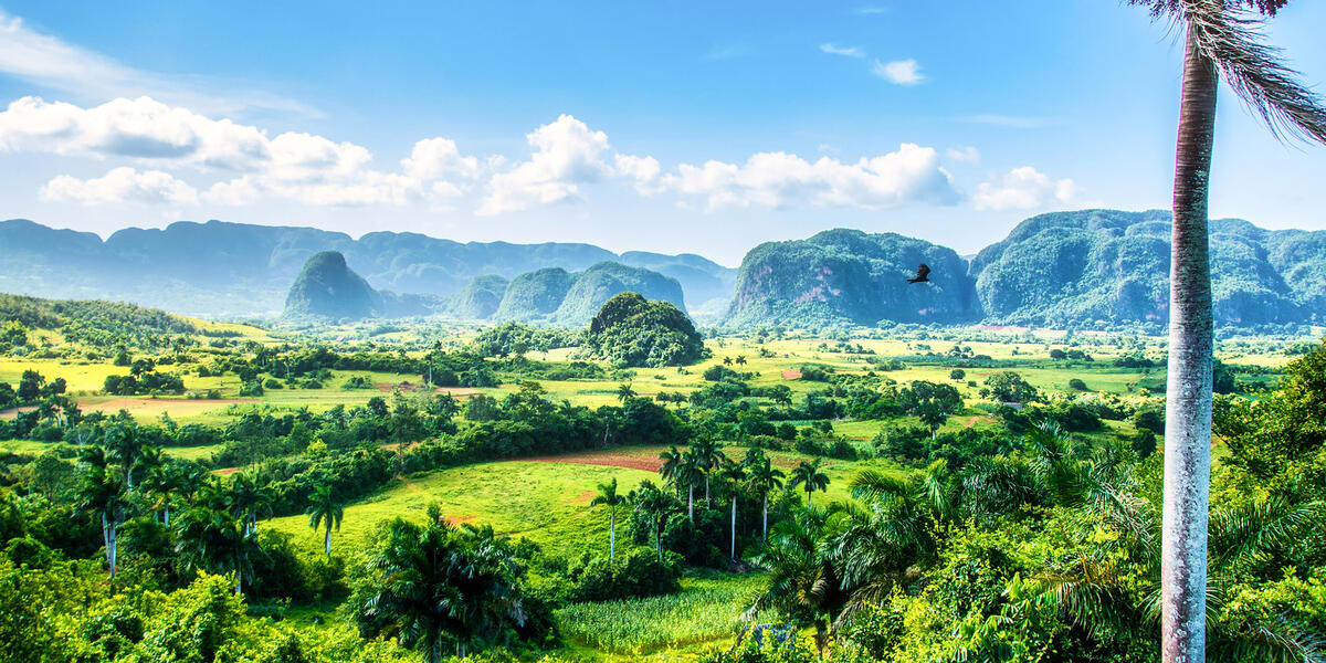 Authentisches Kuba - Rum, Rhythmus und Revolution