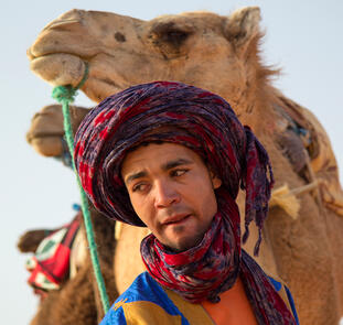 Marokko - von den Königsstädten in die Wüste