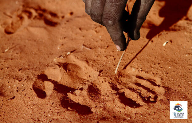 Naturschätze im südlichen Afrika
