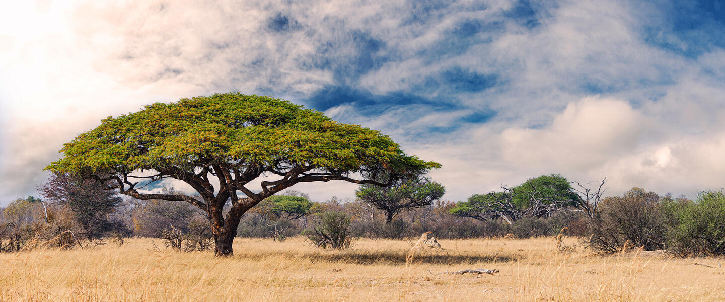 Südliches Afrika - Sinfonie der Naturwunder