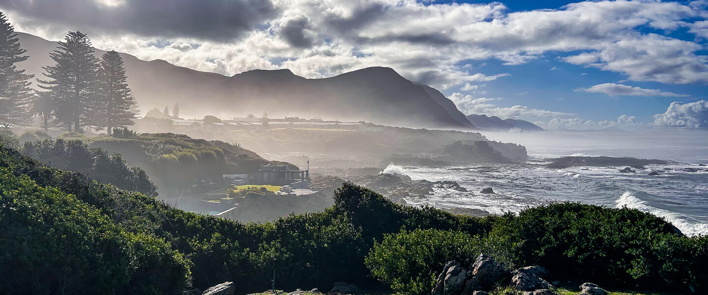 Rooibos Rhapsodie - Teezeit in Südafrika Rooibos Rhapsodie - Teezeit in Südafrika