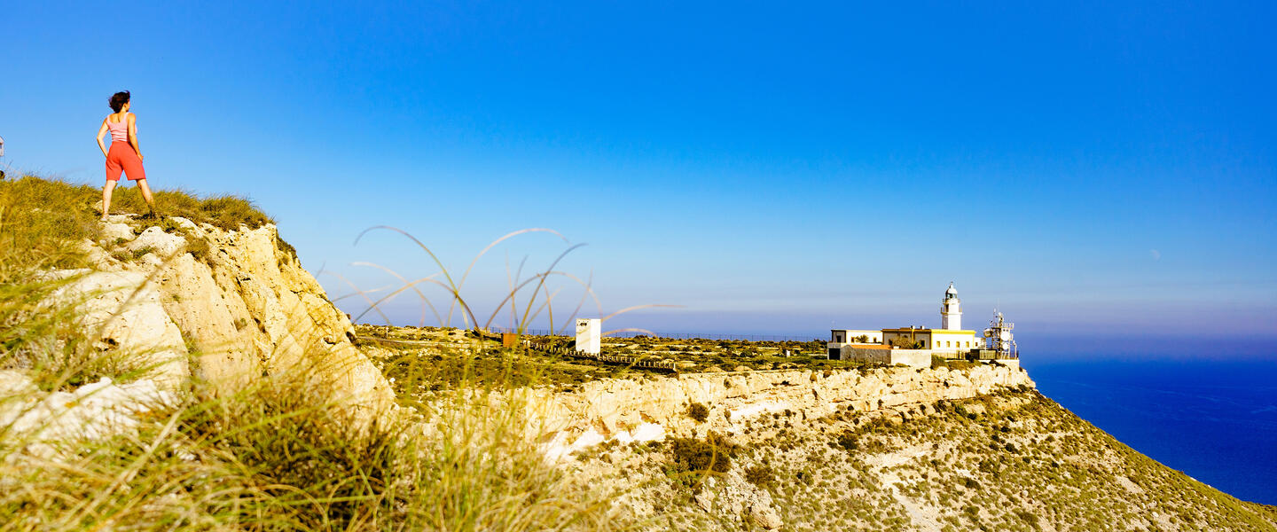 Entlang der Costa Blanca - "Paella, Palmen und Meer"