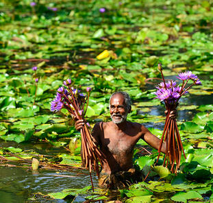 Der Zauber Sri Lankas