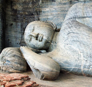 Sri Lanka aktiv Sri Lanka aktiv