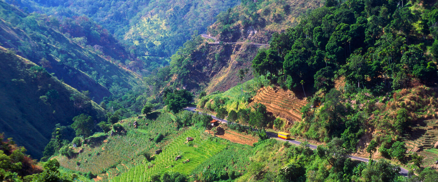 Sri Lanka - heilige Insel des Buddhismus