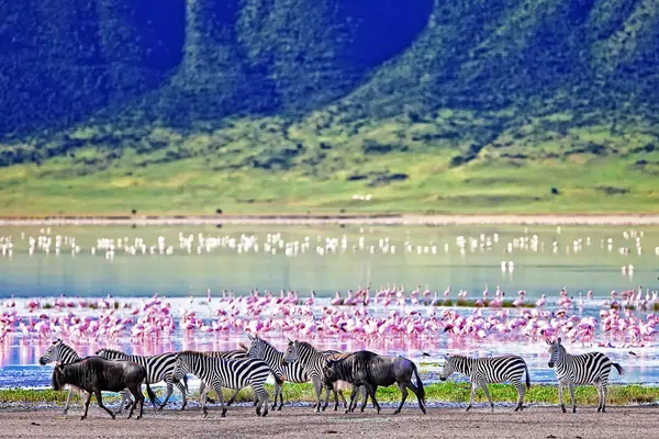 Tansania und Sansibar - von der Serengeti zum Indischen Ozean