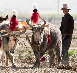 Heiliger Weg nach Tibet Heiliger Weg nach Tibet