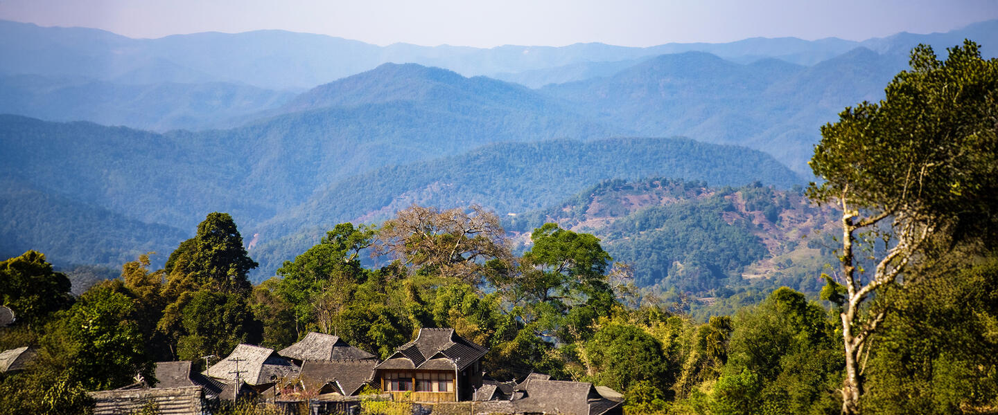 China - zu den Ursprüngen der Teekultur in Yunnan