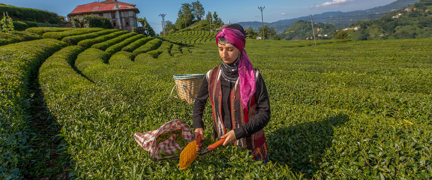 Türkische Teekultur