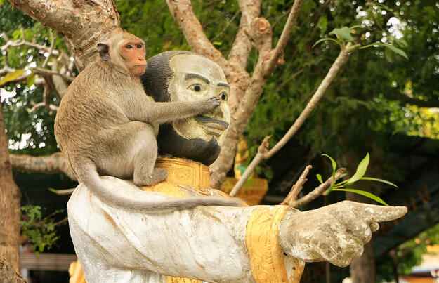 Asiens Herzschlag - überland von Bangkok nach Südvietnam