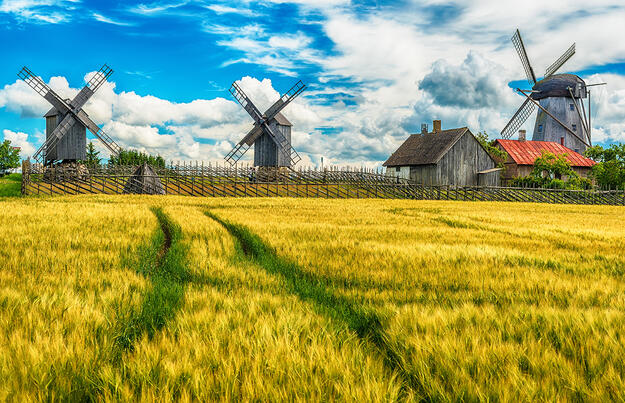 Das Baltikum umfassend genießen