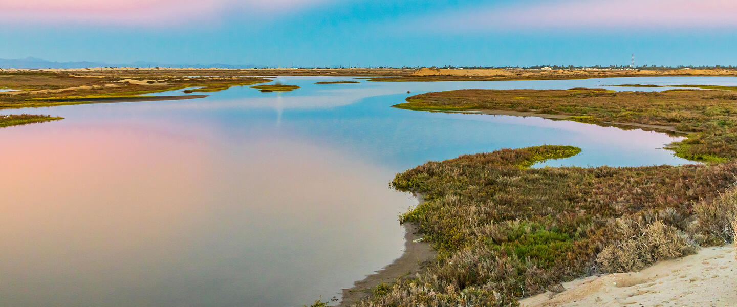 Baja California Sur - unbekanntes Naturparadies