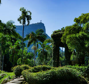 Rio intensiv erleben Rio intensiv erleben