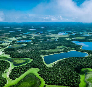 Naturparadies Pantanal
