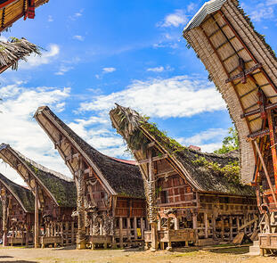 Faszinierendes Sulawesi Faszinierendes Sulawesi