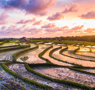 Ursprüngliches Flores mit Komodo-Nationalpark Ursprüngliches Flores mit Komodo-Nationalpark